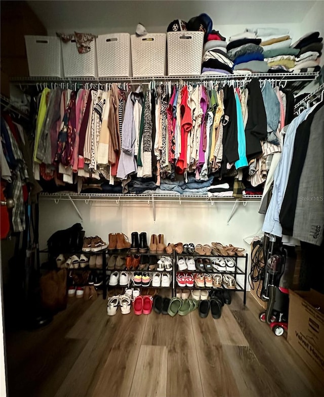 12327 Eagle Swoop Pl, Riverview, FL 33579 - walk in closet with wood finished floors