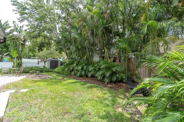 view of yard featuring a storage shed, a patio area, and an outbuilding
