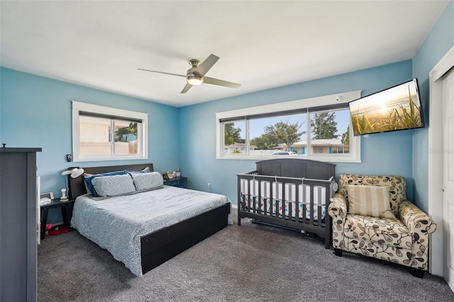1450 Seabreeze St, Clearwater, FL 33756 - carpeted bedroom with multiple windows and ceiling fan