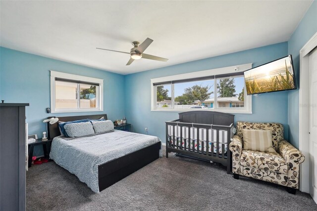 1450 Seabreeze St, Clearwater, FL 33756 - carpeted bedroom with multiple windows and ceiling fan