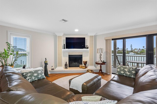 12360 Capri Cir N Unit 106, Treasure Island, FL 33706 - living room featuring ornamental molding, plenty of natural light, wood finished floors, a premium fireplace, and recessed lighting