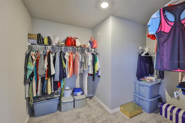 7709 Imagination Pl, Wesley Chapel, FL 33545 - spacious closet with carpet flooring