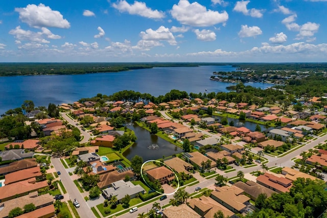 4611 Grand Preserve Pl, Palm Harbor, FL 34684 - aerial perspective of suburban area with a large body of water