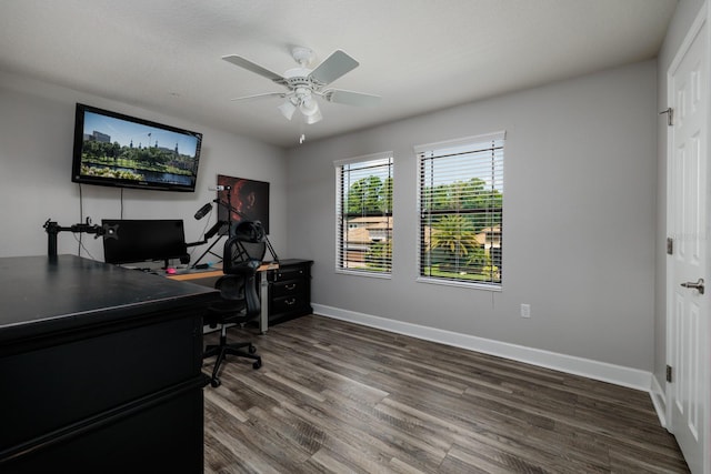 4611 Grand Preserve Pl, Palm Harbor, FL 34684 - office with wood finished floors, ceiling fan, and baseboards