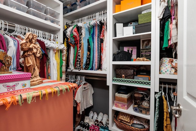4611 Grand Preserve Pl, Palm Harbor, FL 34684 - view of spacious closet