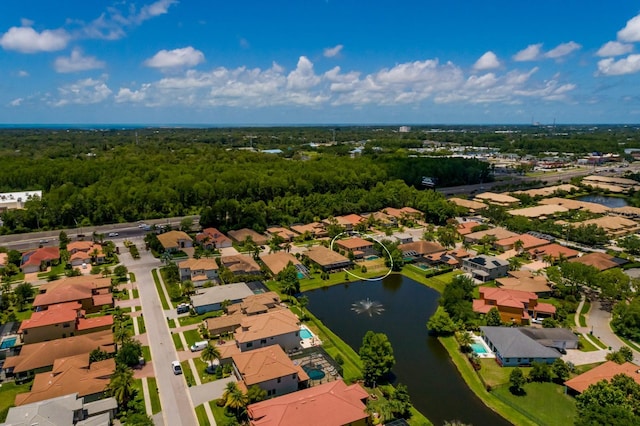 4611 Grand Preserve Pl, Palm Harbor, FL 34684 - aerial perspective of suburban area with a large body of water