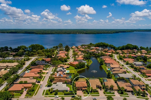 4611 Grand Preserve Pl, Palm Harbor, FL 34684 - aerial perspective of suburban area with a large body of water