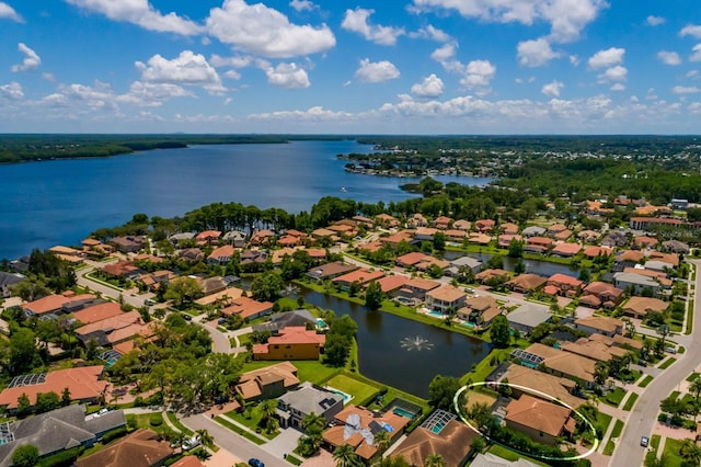 4611 Grand Preserve Pl, Palm Harbor, FL 34684 - aerial view of residential area featuring a nearby body of water