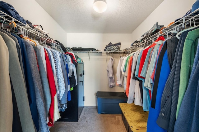 7103 Bridgeview Dr, Wesley Chapel, FL 33545 - spacious closet featuring carpet floors