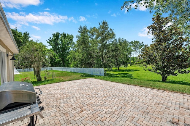 7103 Bridgeview Dr, Wesley Chapel, FL 33545 - view of patio with a grill