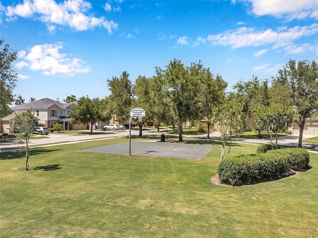 7103 Bridgeview Dr, Wesley Chapel, FL 33545 - view of home's community featuring a yard and community basketball court