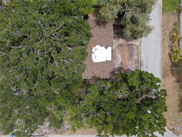 701 59th Ave NE, Saint Petersburg, FL 33703 - aerial overview of property's location