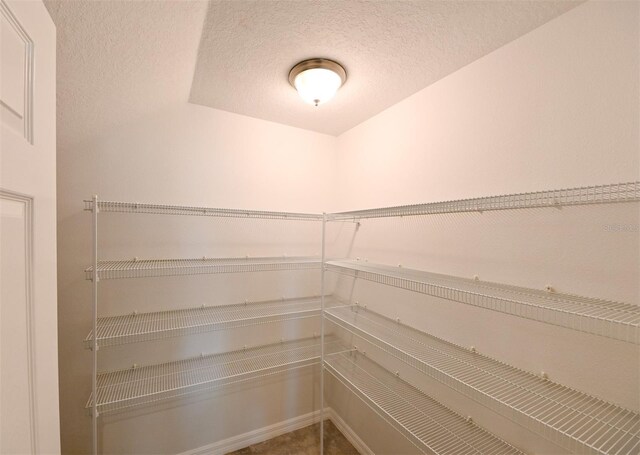 19200 Roseate Dr, Lutz, FL 33558 - photo 10