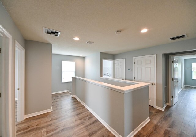 19200 Roseate Dr, Lutz, FL 33558 - photo 13