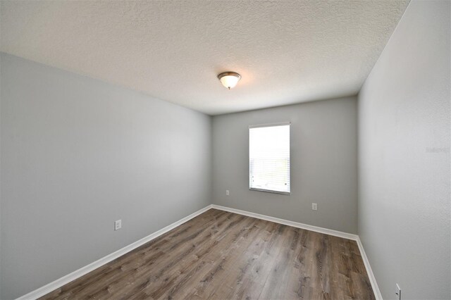 19200 Roseate Dr, Lutz, FL 33558 - photo 15