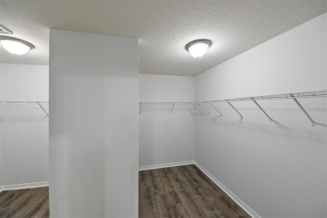 19200 Roseate Dr, Lutz, FL 33558 - photo 22