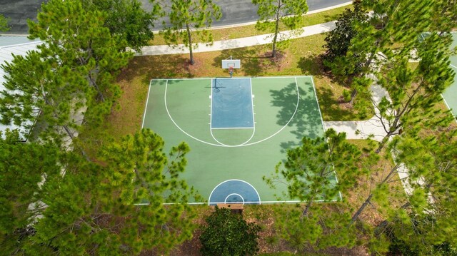 19200 Roseate Dr, Lutz, FL 33558 - photo 33