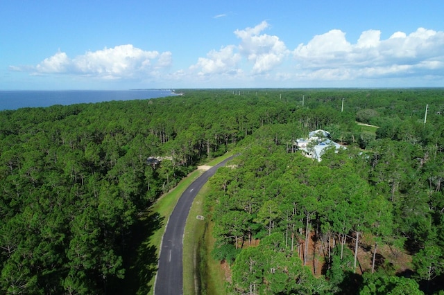 315 Gramercy Plantation Blvd, Eastpoint, FL 32328 - photo 2
