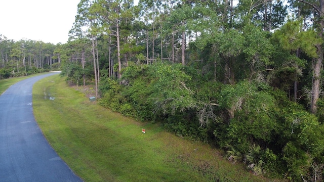 315 Gramercy Plantation Blvd, Eastpoint, FL 32328 - photo 3
