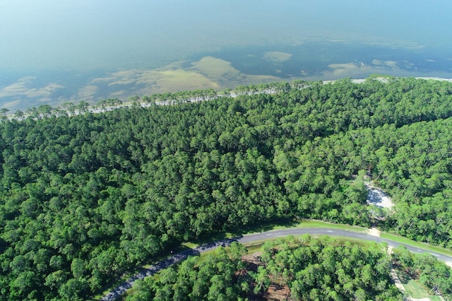 315 Gramercy Plantation Blvd, Eastpoint, FL 32328 - photo 4