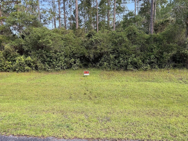 315 Gramercy Plantation Blvd, Eastpoint, FL 32328 - photo 7
