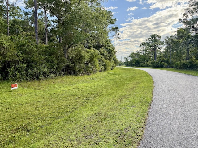 315 Gramercy Plantation Blvd, Eastpoint, FL 32328 - photo 8