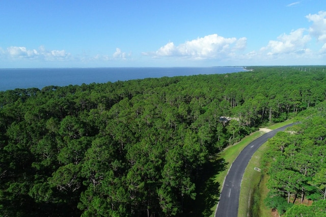 315 Gramercy Plantation Blvd, Eastpoint, FL 32328 - photo 12