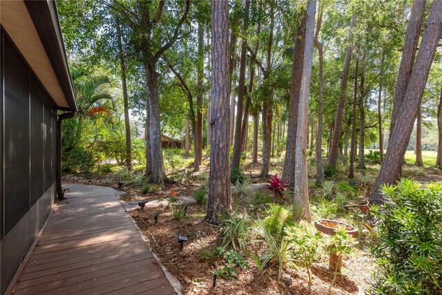 3071 Bolt Dr, Palm Harbor, FL 34685 - view of yard