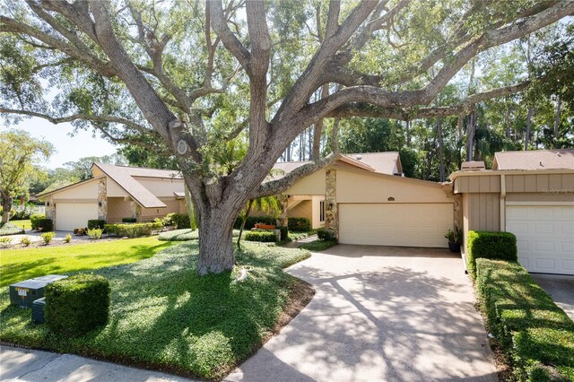 3071 Bolt Dr, Palm Harbor, FL 34685 - mid-century inspired home with concrete driveway, a garage, a front yard, and stucco siding