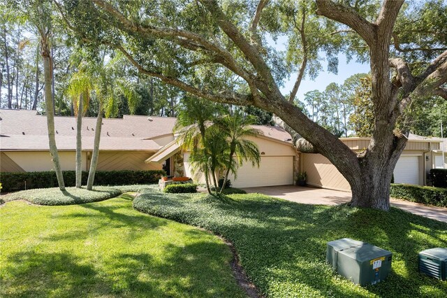 3071 Bolt Dr, Palm Harbor, FL 34685 - view of front of home with an attached garage, a front yard, driveway, and stucco siding