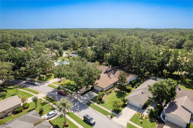 3071 Bolt Dr, Palm Harbor, FL 34685 - bird's eye view of a heavily wooded area