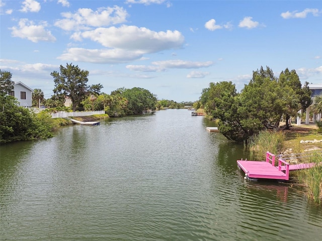 3227 Rose Arbor Dr, Hernando Beach, FL 34607 - water view with a dock