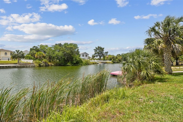 3227 Rose Arbor Dr, Hernando Beach, FL 34607 - water view