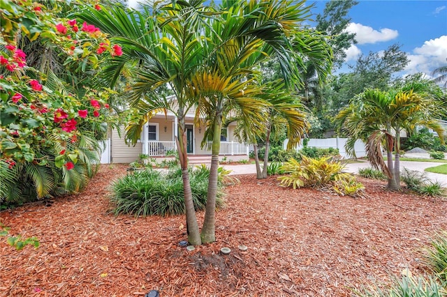 546 26th Ave N, Saint Petersburg, FL 33704 - photo 3