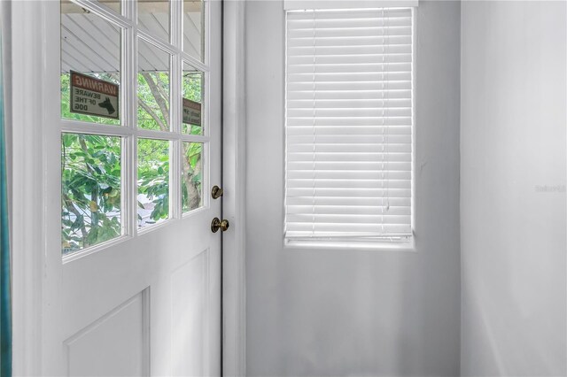 546 26th Ave N, Saint Petersburg, FL 33704 - photo 47