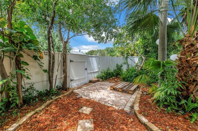 546 26th Ave N, Saint Petersburg, FL 33704 - photo 52