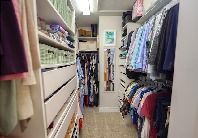 walk in closet featuring carpet and attic access