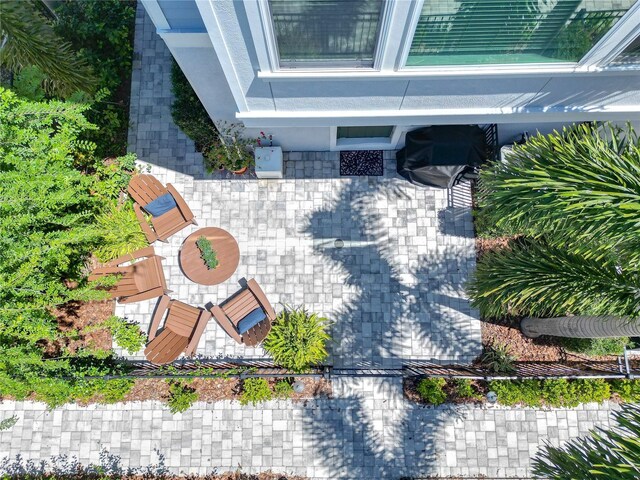 bird's eye view