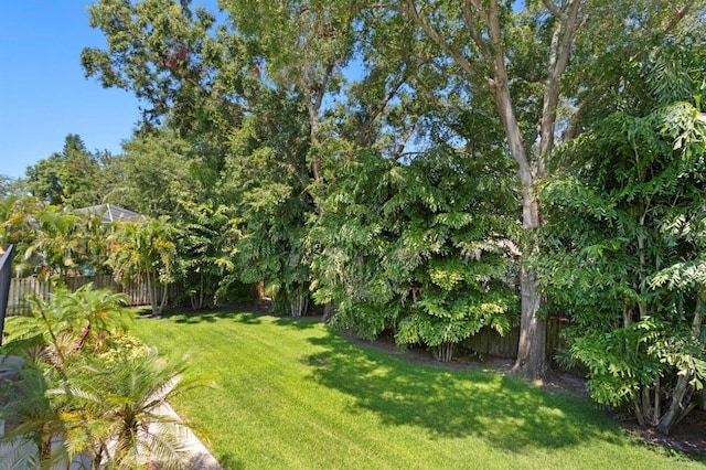 80 Sycamore Ct, Palm Harbor, FL 34683 - view of yard