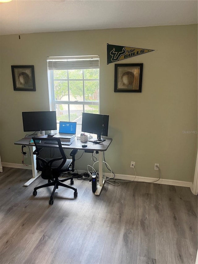 office with baseboards and wood finished floors