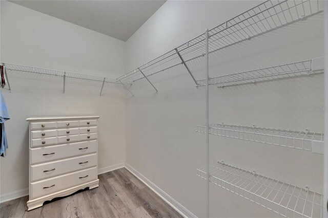 10626 Park Meadowbrooke Dr, Riverview, FL 33578 - photo 43
