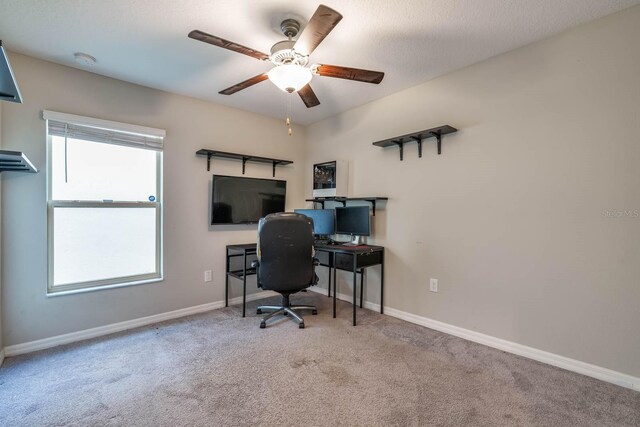 4507 Eternal Prince Dr, Sun City Center, FL 33573 - photo 26
