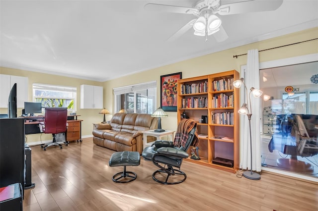 700 Bowsprit Pl, Palm Harbor, FL 34685 - home office featuring light wood finished floors, a ceiling fan, and crown molding