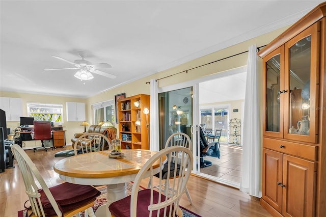 700 Bowsprit Pl, Palm Harbor, FL 34685 - dining area with light wood finished floors, an office area, and ceiling fan