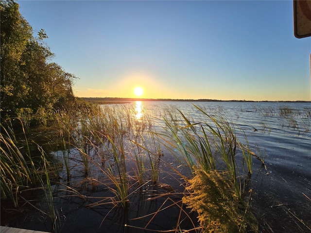 700 Bowsprit Pl, Palm Harbor, FL 34685 - water view