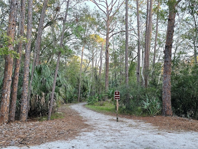 700 Bowsprit Pl, Palm Harbor, FL 34685 - view of street featuring a forest view