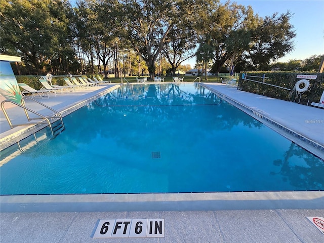 700 Bowsprit Pl, Palm Harbor, FL 34685 - view of community pool
