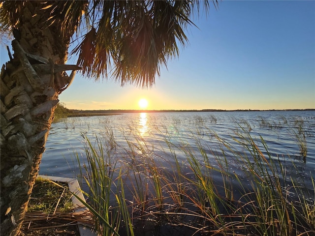 700 Bowsprit Pl, Palm Harbor, FL 34685 - water view