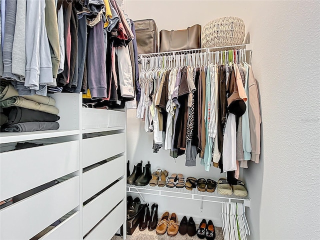 800 Reggie Rd, Winter Haven, FL 33884 - view of walk in closet