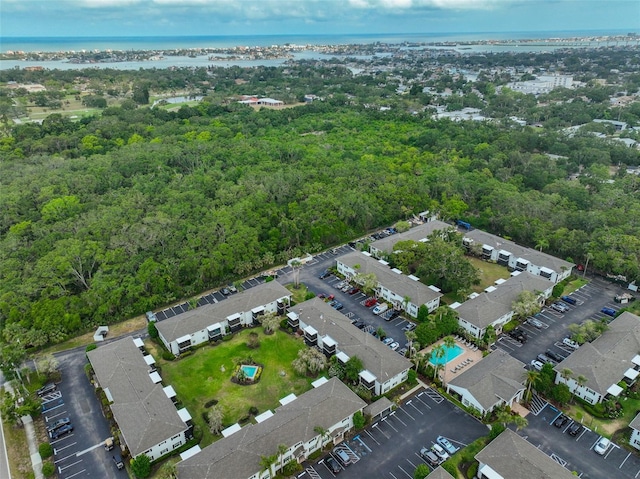 13125 Wilcox Rd Unit 16202, Largo, FL 33774 - aerial overview of property's location with a forest and a nearby body of water